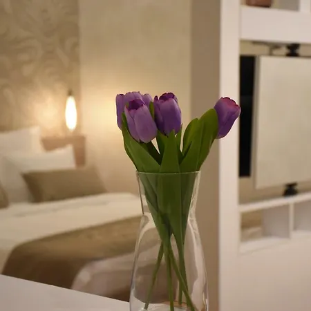 Royal Park Appartement